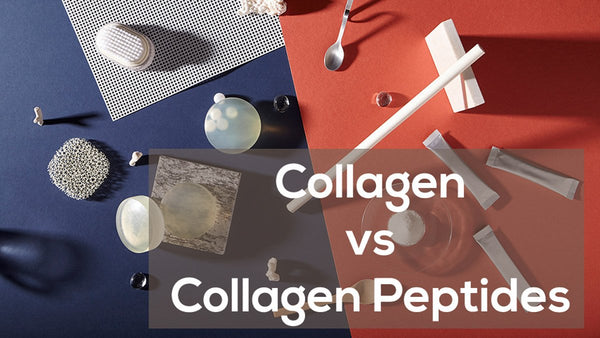 Collagen vs Collagen Peptide: What's the difference? - Tokyoninki